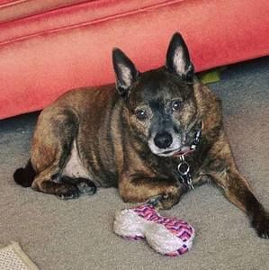 Meet your Posher, Jill